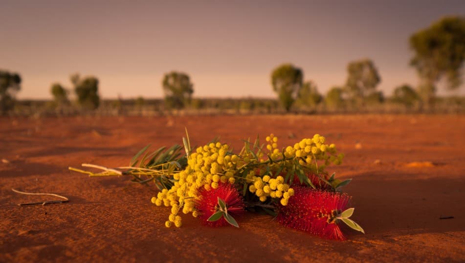 5yo Girl's Shocking Death: Australia Mourns