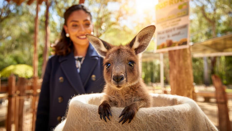 Shocking Truth: Royal Family Names Kangaroo Cwtch