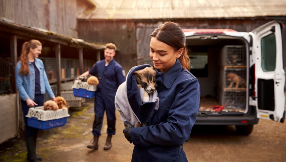 200 Animals Rescued: Puppy Mill Scandal