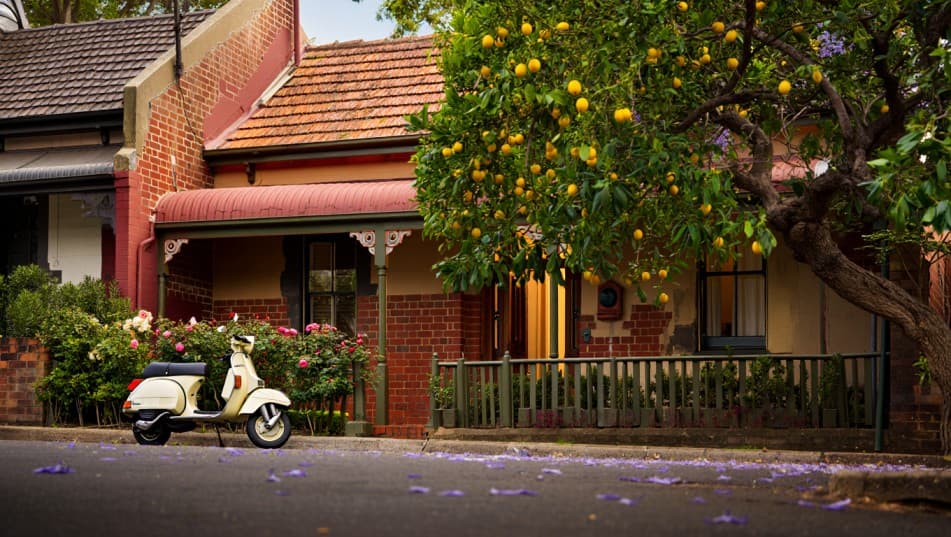 Haberfield's Hidden Charm