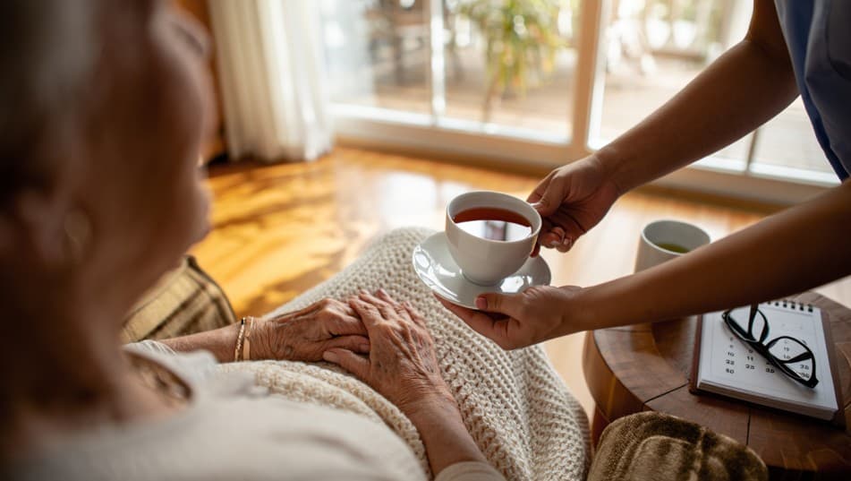Home Care Price Caps Deferred: What It Really Means